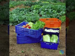 27L Keranjang Lipat Ringan Kotak Sayuran Buah Turnover Mesh Keranjang Dengan Genggam